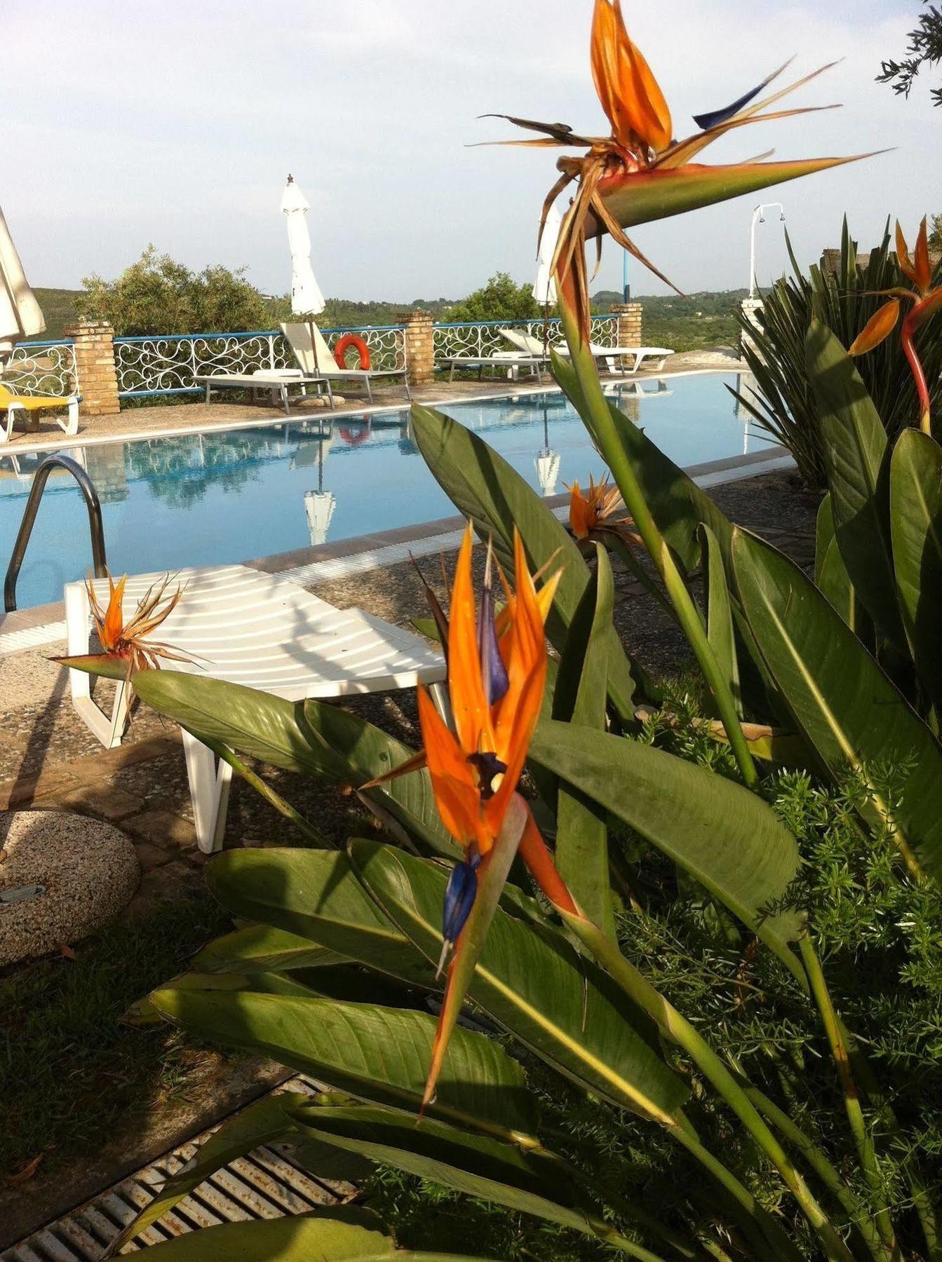 Fundana Villas Kanakades ภายนอก รูปภาพ